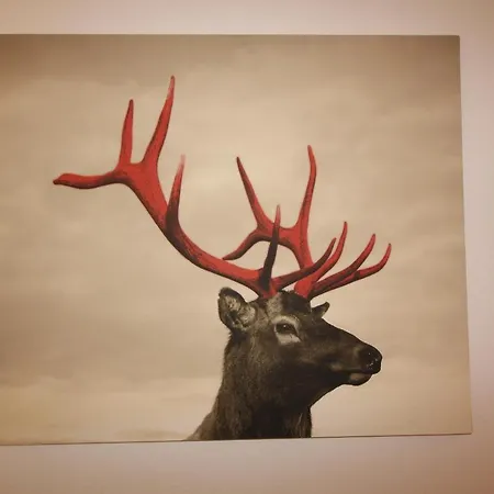 Franz-walde-weg By Managers Appartement *