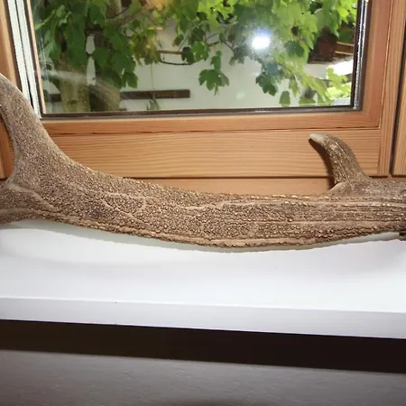 Franz-walde-weg By Managers Kitzbühel